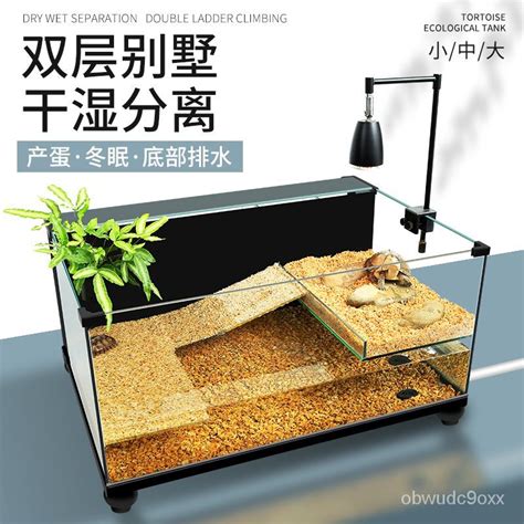 魚缸養烏龜|烏龜飼養：4個必備工具